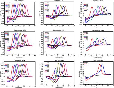 A Novel Molecular Method for Simultaneous Identification of Vibrio parahaemolyticus 57 K-Serogroups Using Probe Melting Curve Analysis